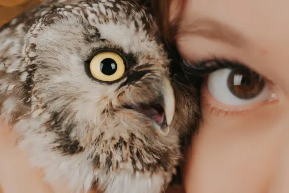 Paradise Casino Kundeservice